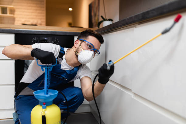 Flea Control Services in Old Westbury, NY