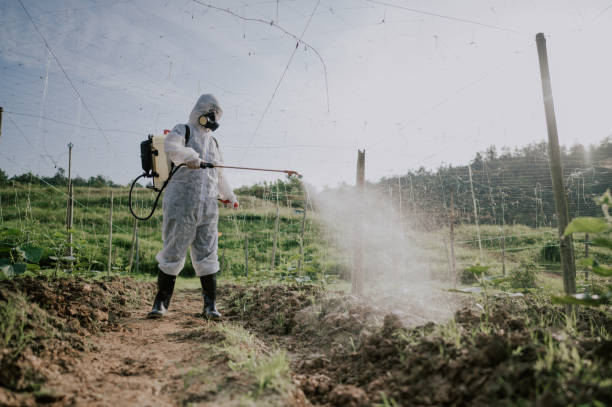 Best Ant Control Services  in Old Westbury, NY