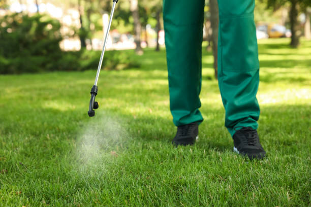 Best Pest Prevention Services  in Old Westbury, NY