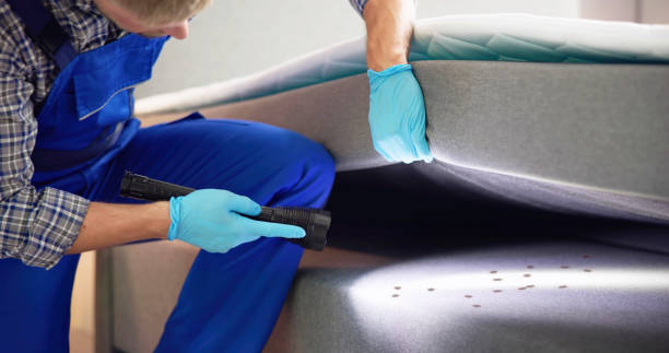 Best Pest Control for Businesses  in Old Westbury, NY