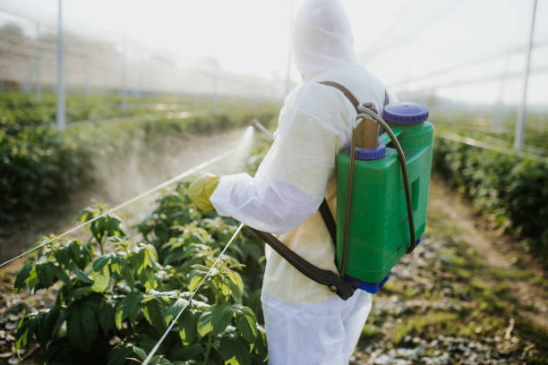 Wasp Removal Services in Old Westbury, NY
